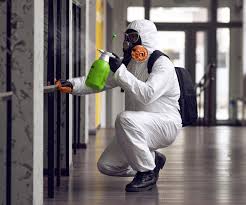 Why You Should Choose Our Mold Remediation Services in Glendora, CA